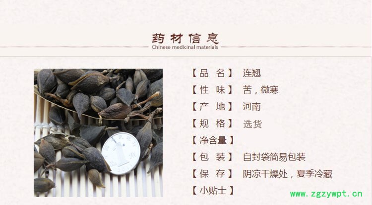 11连翘2 (2).jpg
