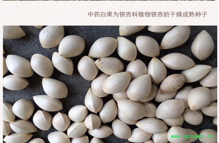 白果3.jpg