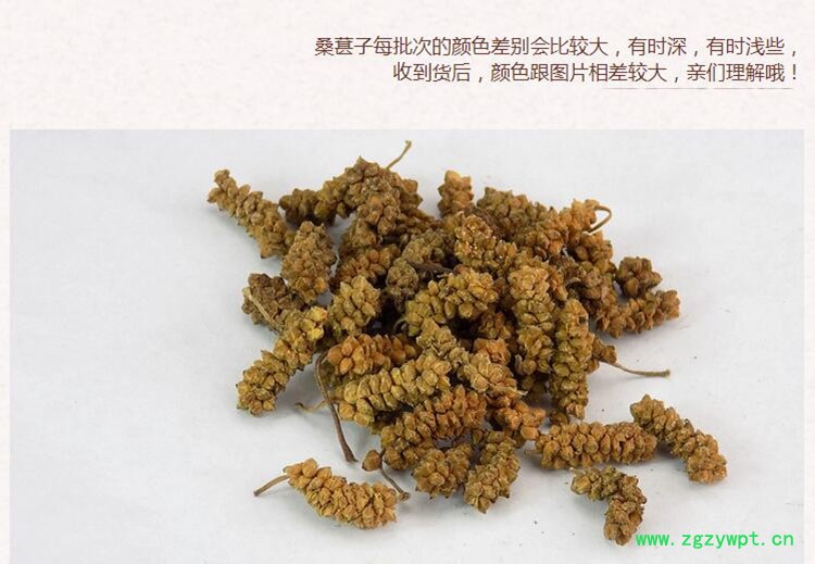 桑葚子4.jpg