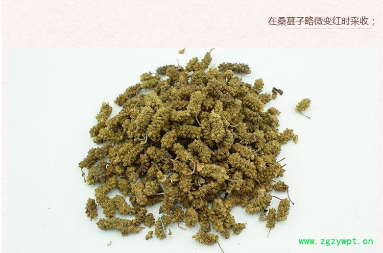 桑葚子1_副本.jpg