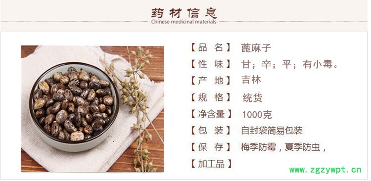 蓖麻籽1.jpg