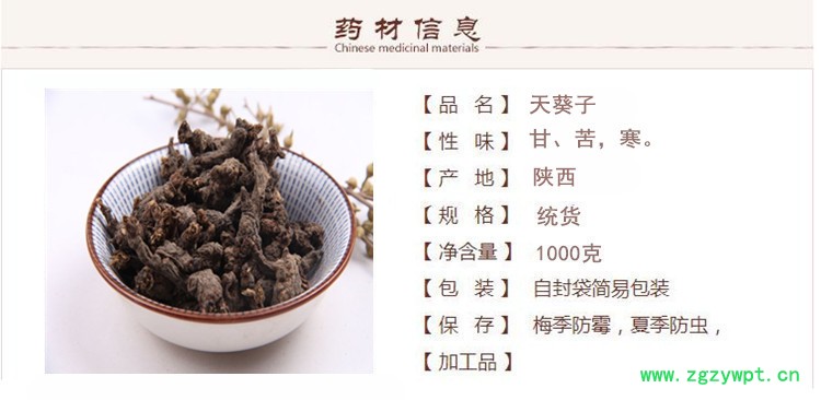 天葵子1.jpg