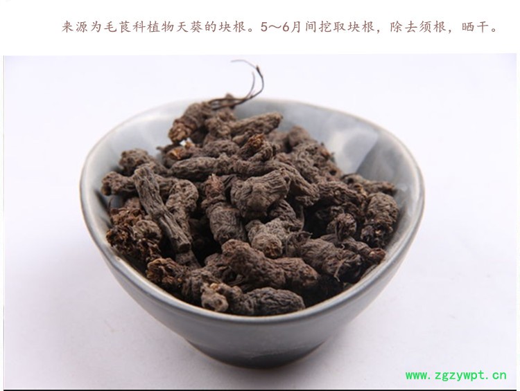 天葵子4.jpg