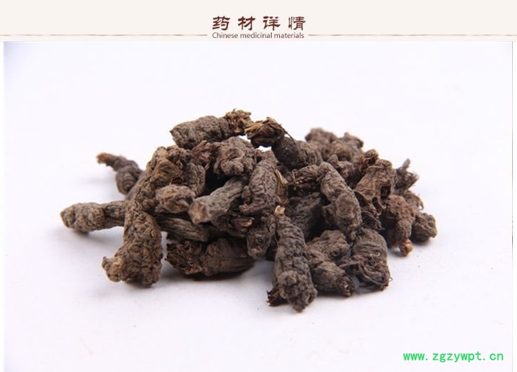 天葵子2.jpg