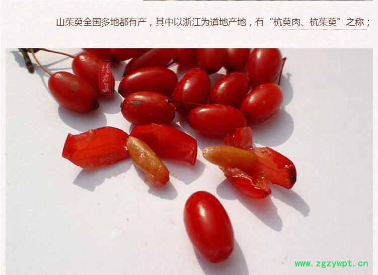 山萸肉4.jpg