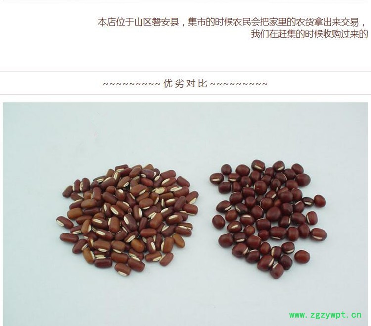 赤小豆4.jpg
