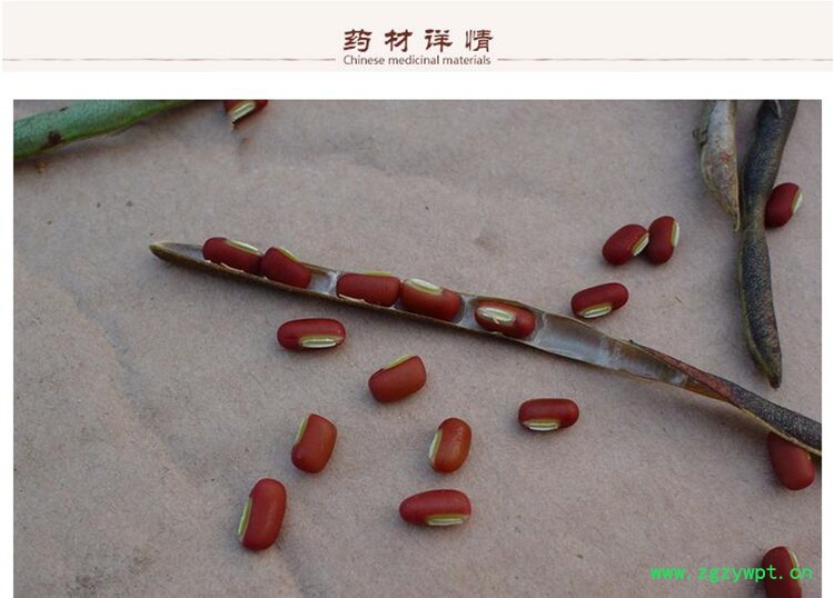 赤小豆2.jpg