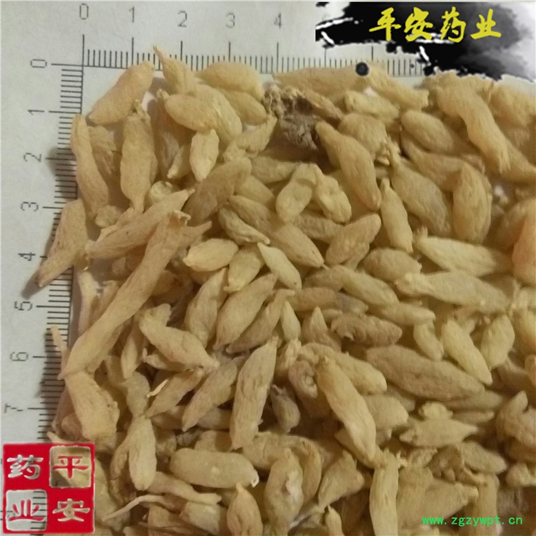 麦冬~03_副本.jpg