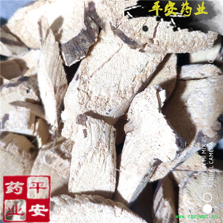 木防己广西防己15王西~08_副本.jpg