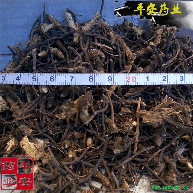 威灵仙25老心~03_副本.jpg