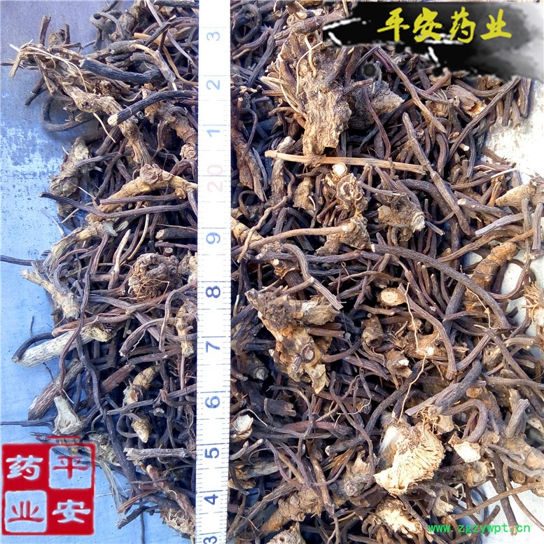 威灵仙25老心_副本.jpg