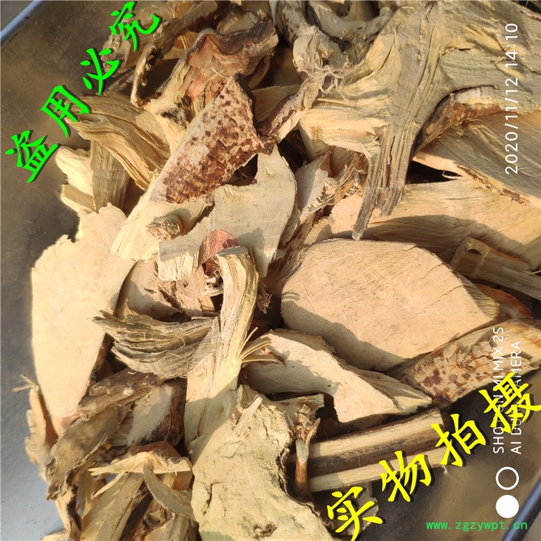 五指毛桃片东20~13_副本.jpg