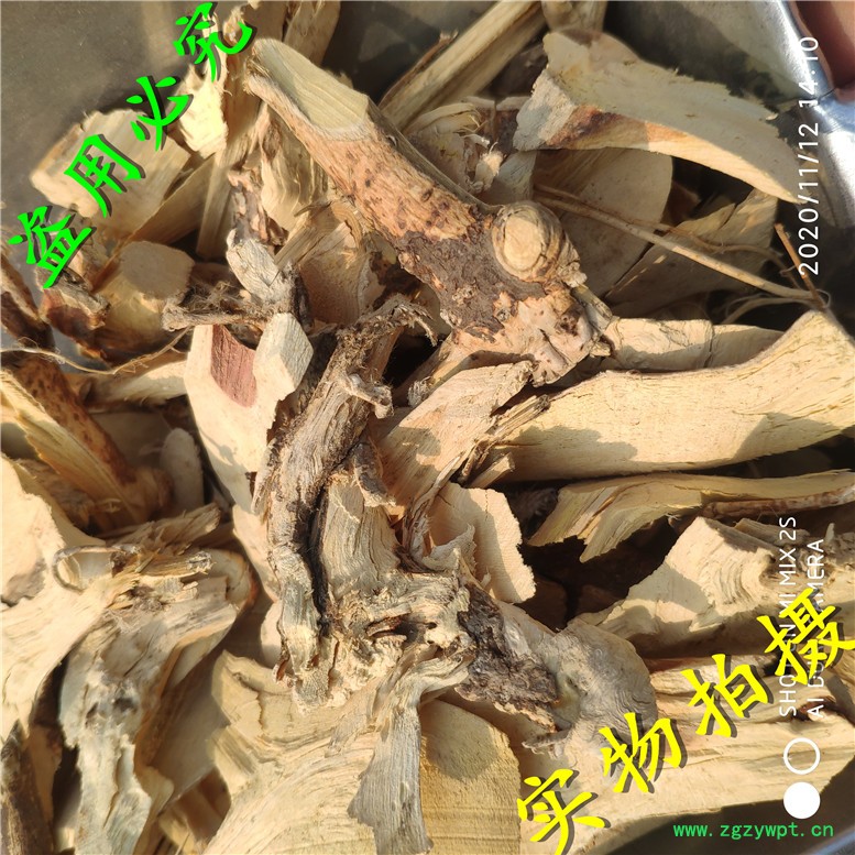五指毛桃片东20~17_副本.jpg