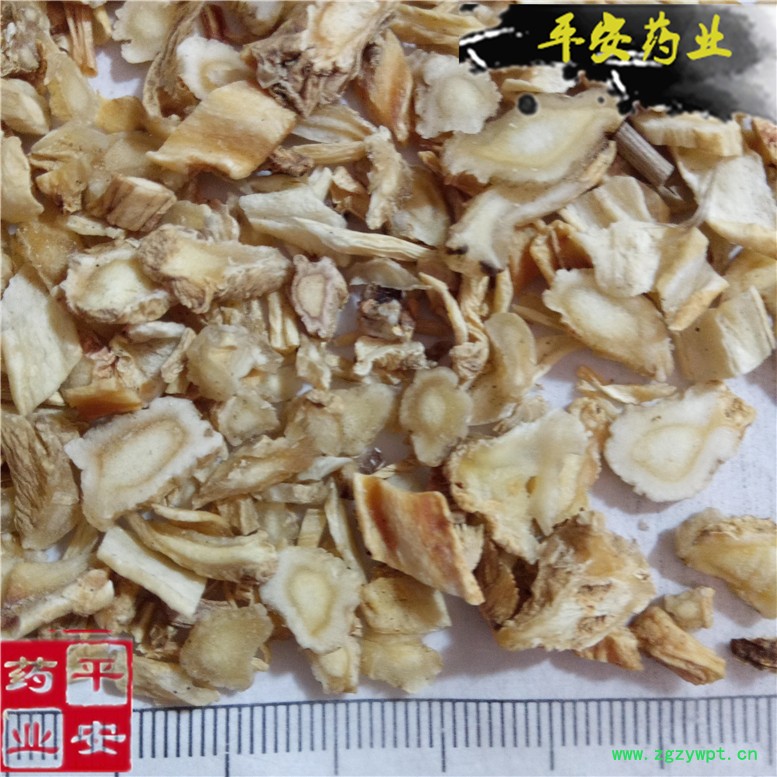 桔梗32老孙~01_副本.jpg
