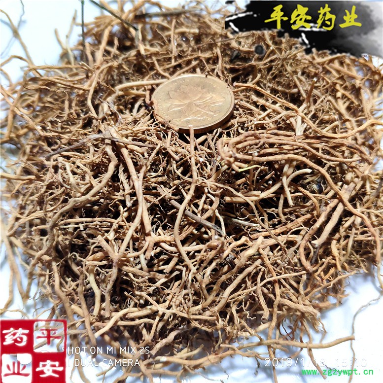 徐长卿段33.jpg