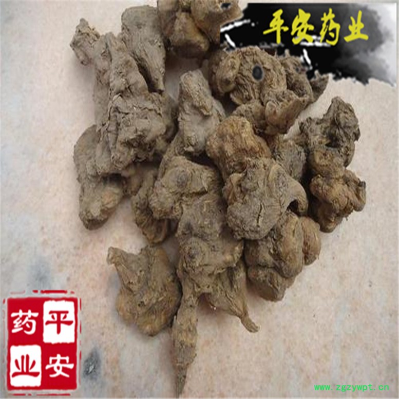鬼子姜 (4).jpg