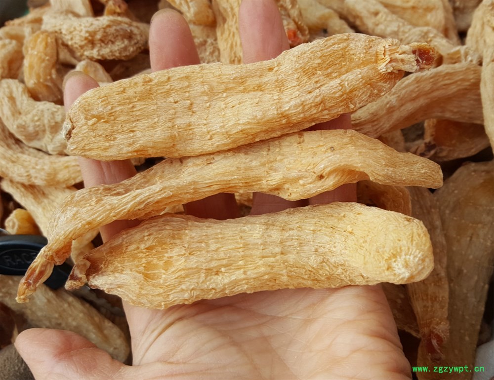 云南红天麻14_meitu_1.jpg