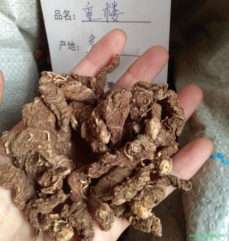 贵州重楼2_meitu_4.jpg