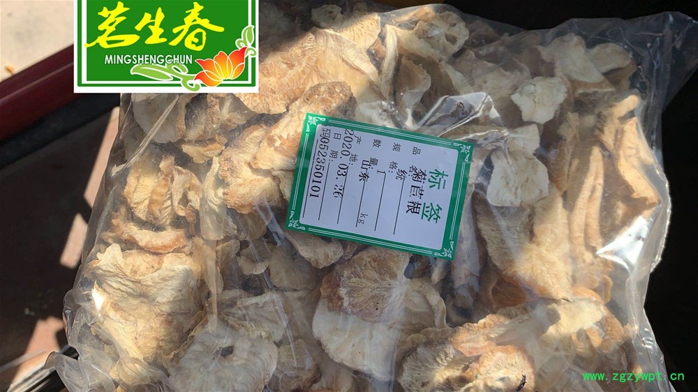 菊苣3.jpg