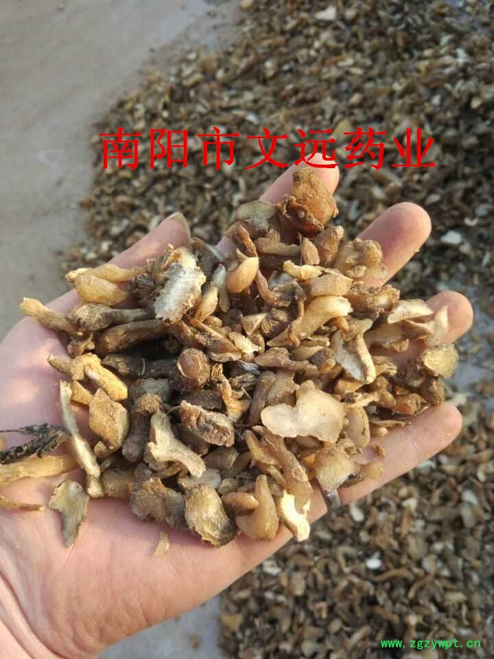 黄精2_副本.jpg