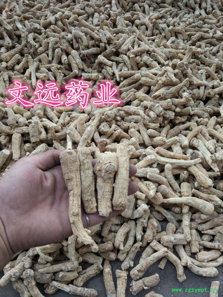E8A5BFE6B48BE58F82342E6A7067_副本.jpg