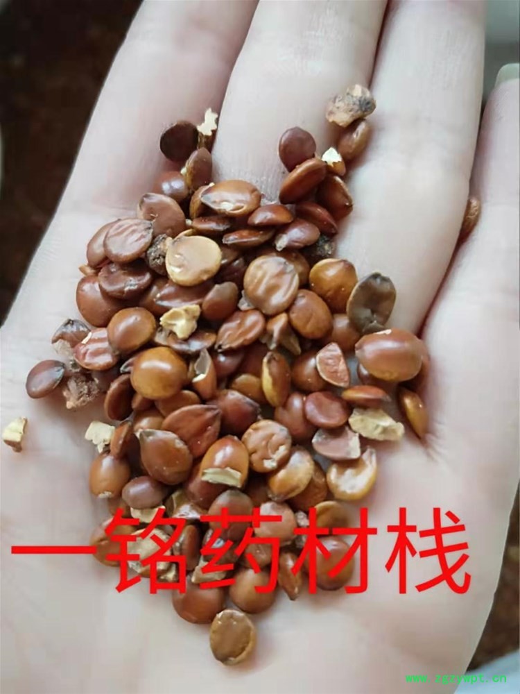 微信图片_20191201212341.jpg