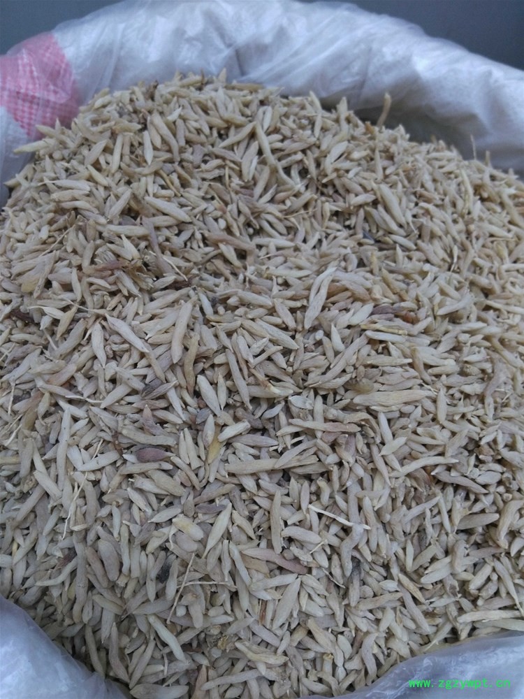 湖北麦冬 (2).jpg