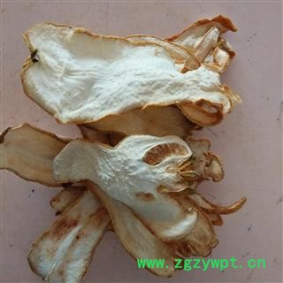 5151E59BBEE7898732303135313230373231333934355FE589AFE69CAC2E6A7067.jpg