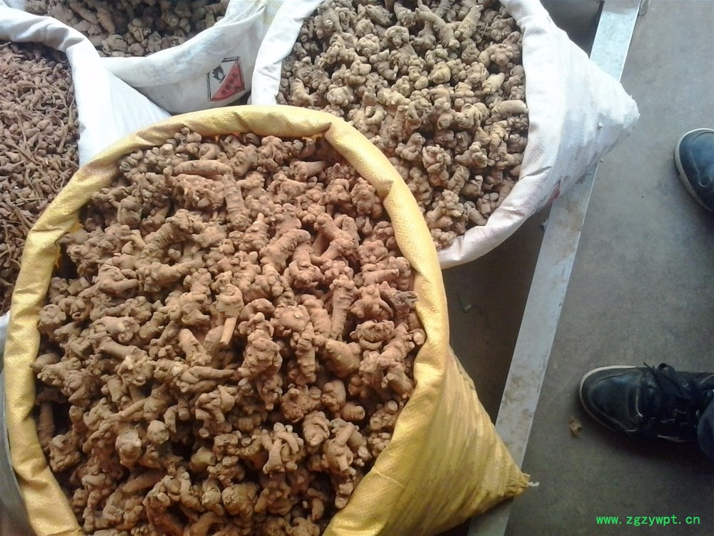 20131212_111219.jpg