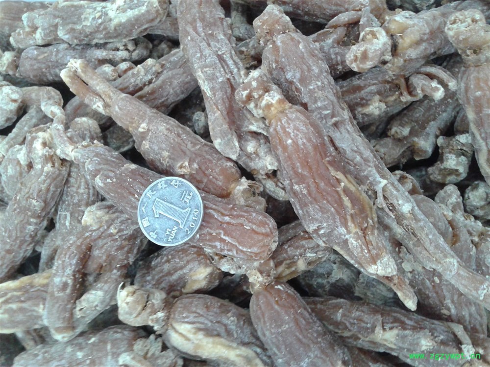 20140425_094215.jpg