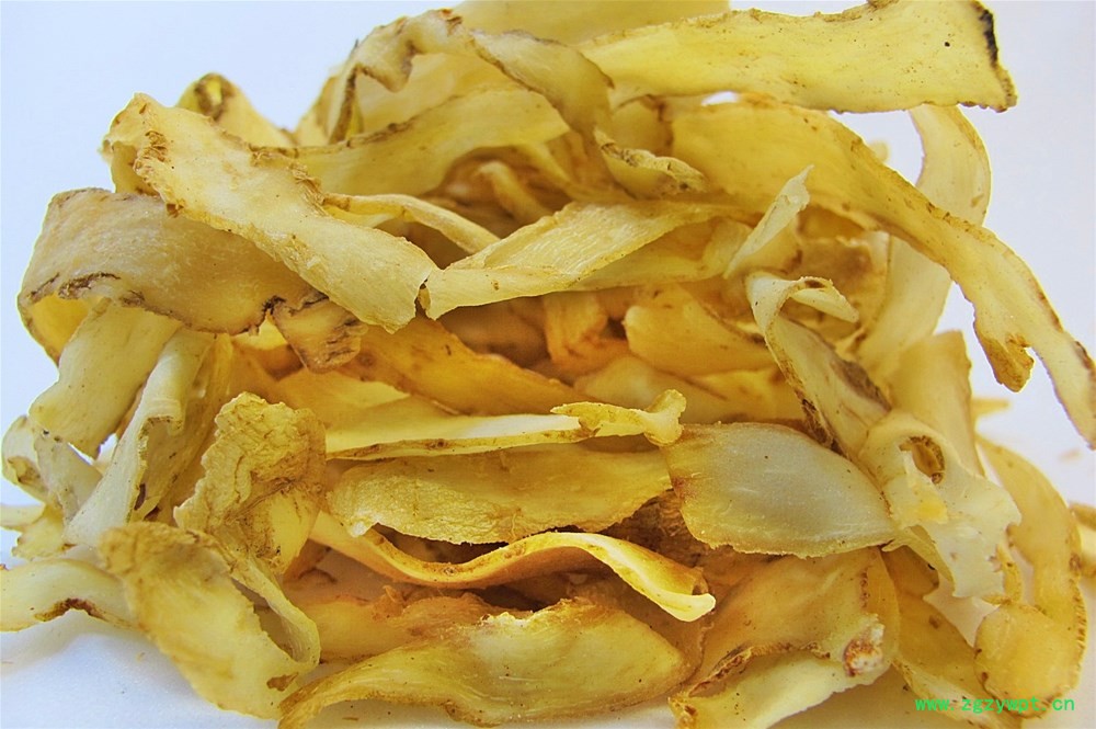 20120212025446.JPG