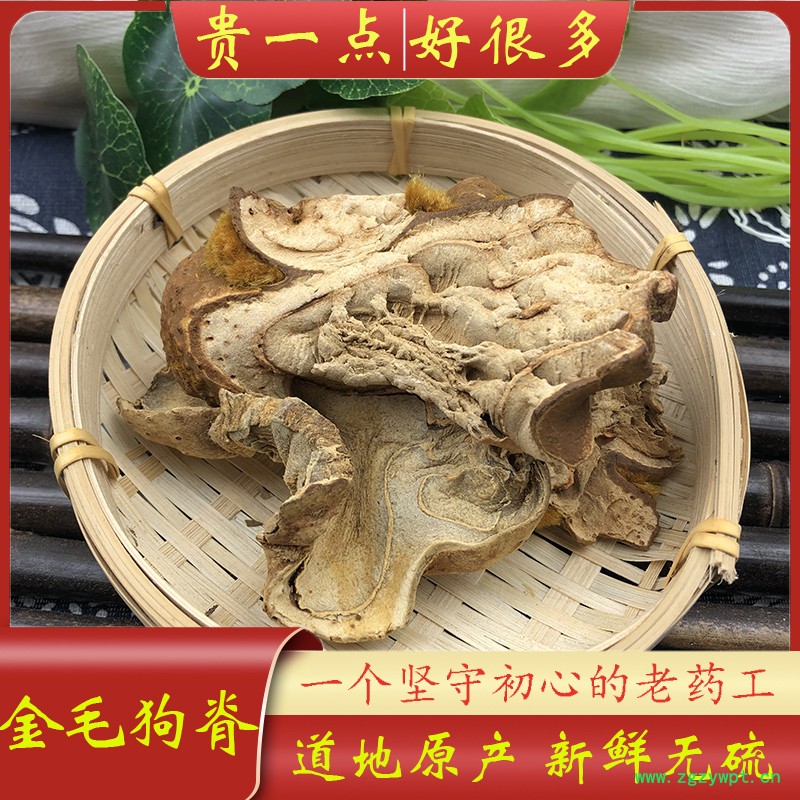 狗脊主图1.jpg