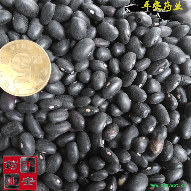 黑豆8眼镜~01_副本.jpg