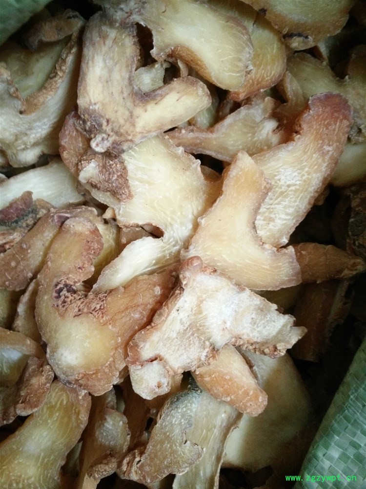 黄精选 (2).jpg