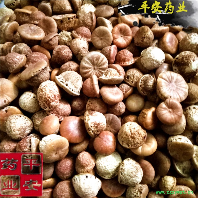 风流果龟头子_副本.jpg