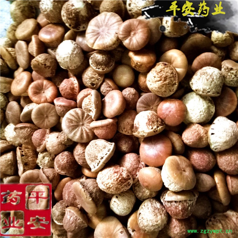 风流果龟头子壮阳果_副本.jpg