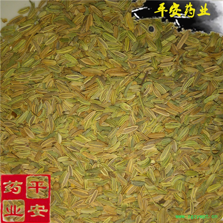 小茴香14_副本.jpg