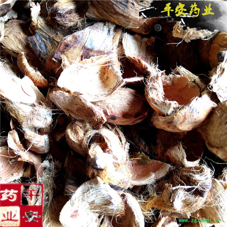 大腹皮大腹毛7胖~11_副本.jpg