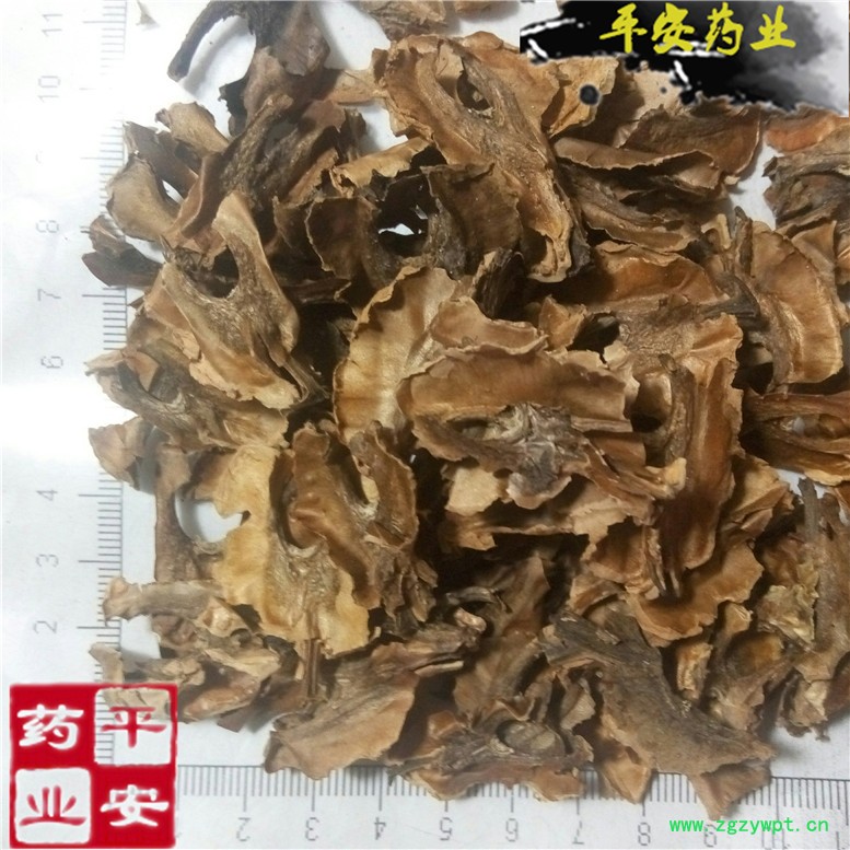 分心木~07_副本.jpg
