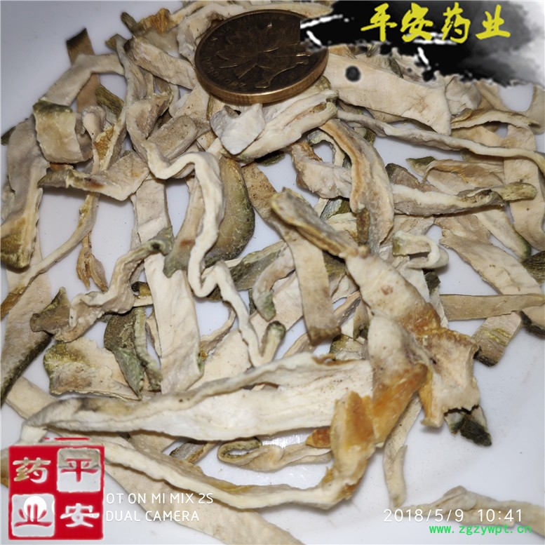 佛手丝37胖~08_副本.jpg