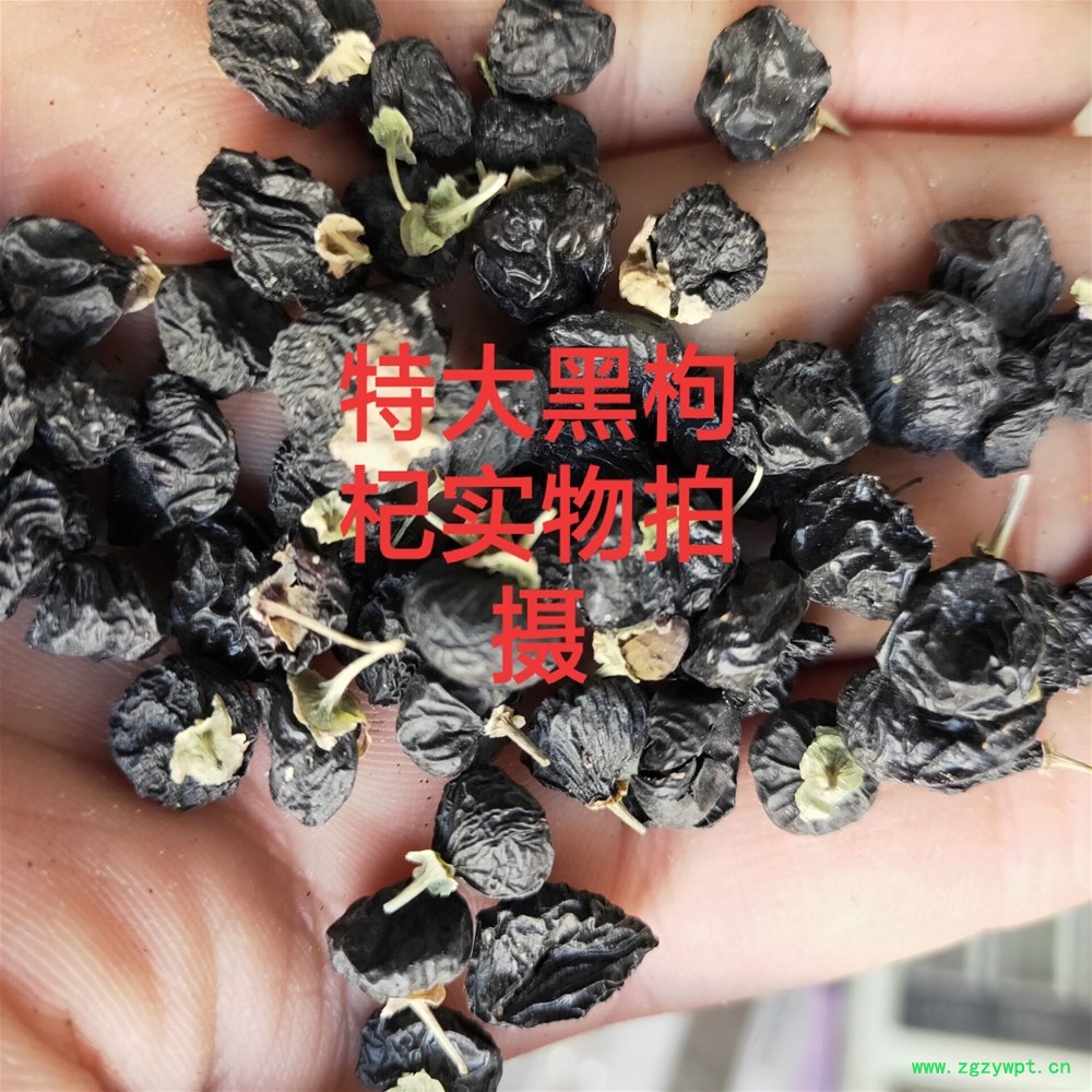 QQ图片20181112125300.jpg