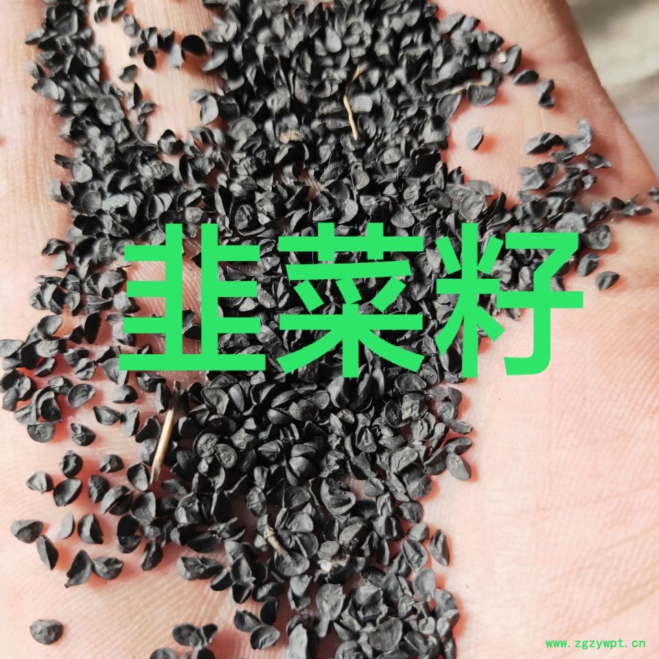 QQ图片20181115103116.jpg