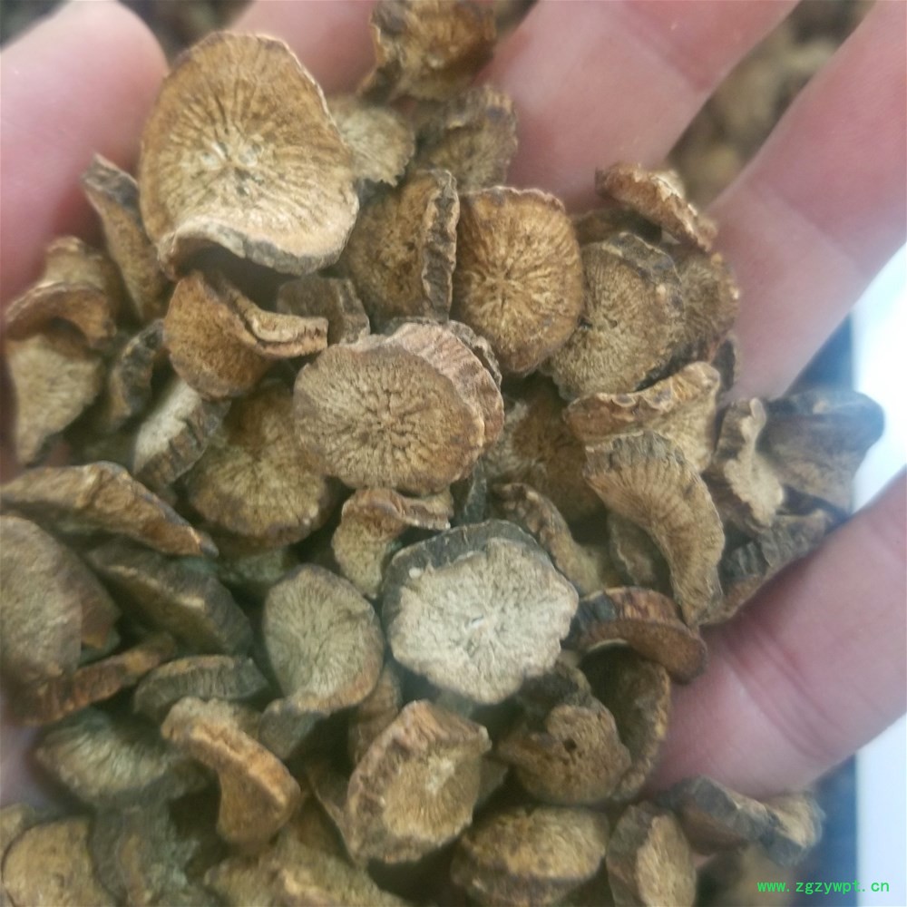 20190404_161935.jpg