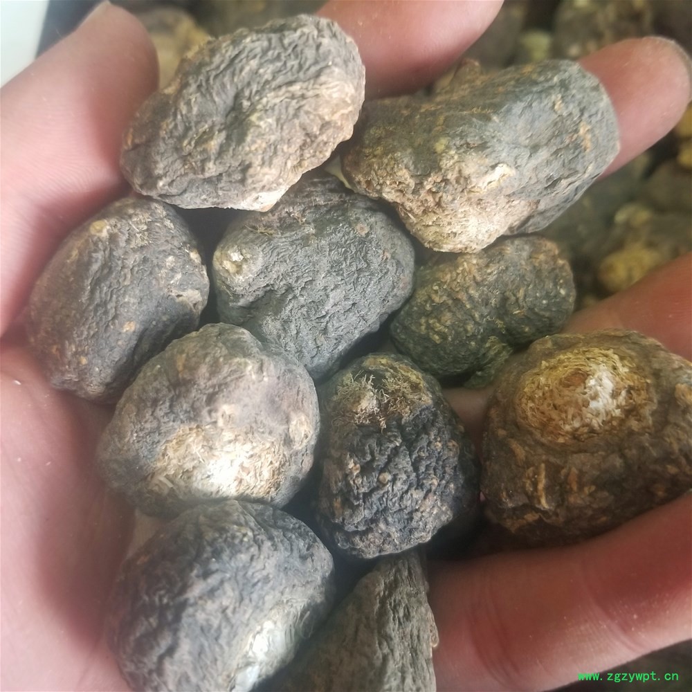 20190404_163515.jpg