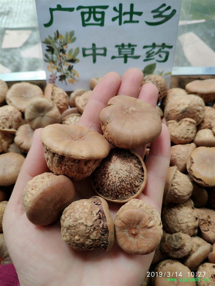 IMG_20190314_102721.jpg IMG_20190314_102721.jpg