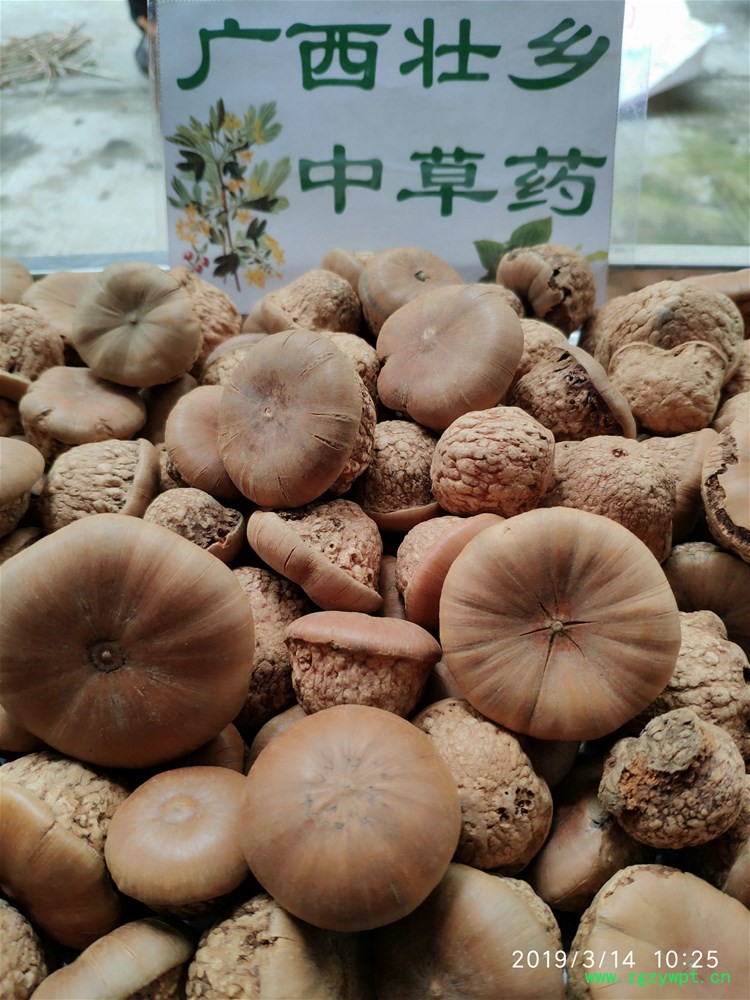 IMG_20190314_102521.jpg IMG_20190314_102521.jpg