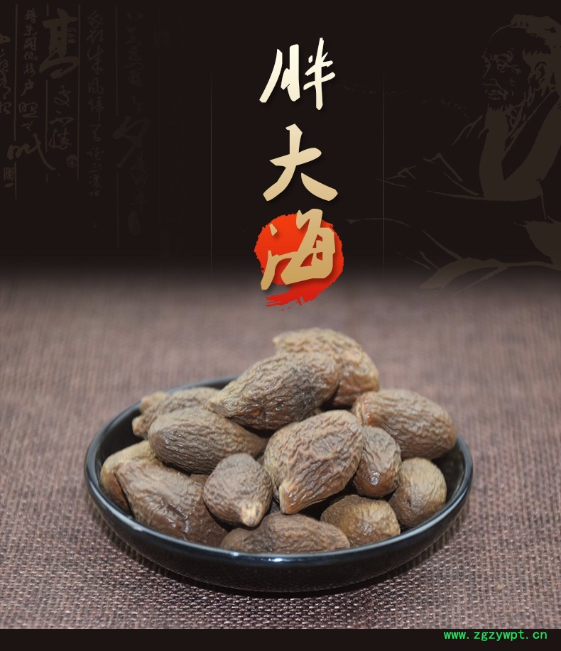 胖大海1.jpg