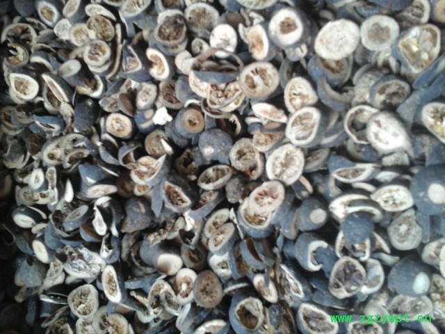 20150519_110742.jpg