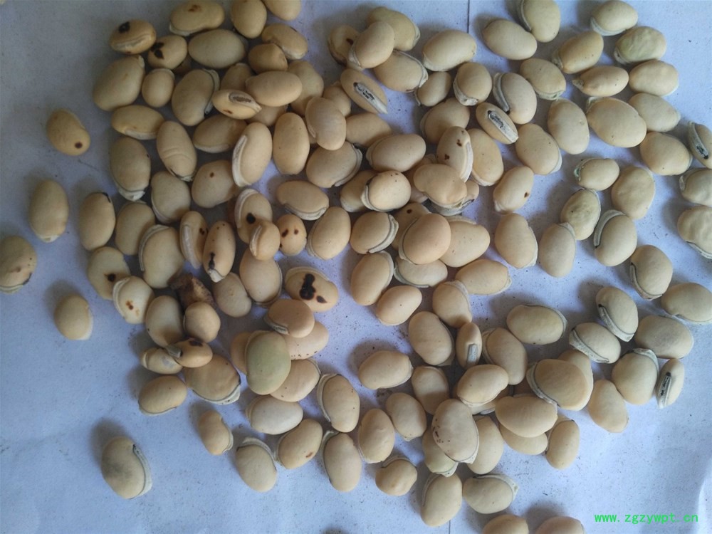 炒扁豆 (2).jpg
