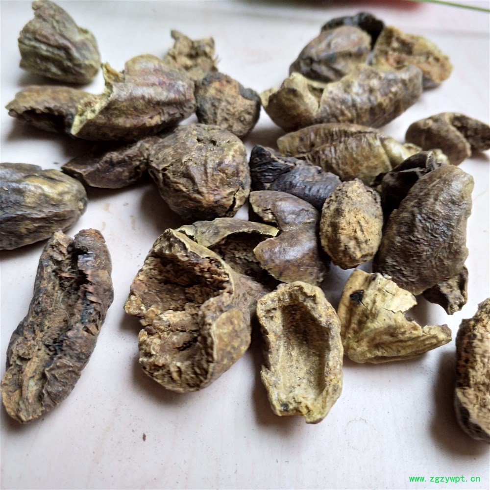 诃子肉 (4).jpg